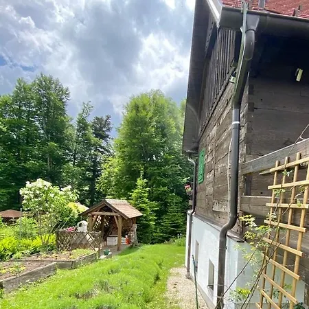 Apartment For Families With Children Fuzine, Gorski Kotar - 21072 *